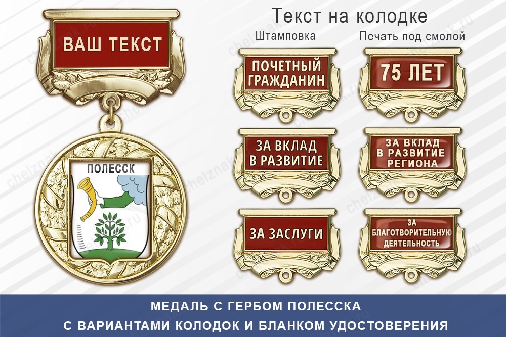 Медаль с гербом города Полесска Калининградской области с бланком удостоверения, дополнительное фото 1