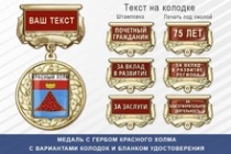 Медаль с гербом города Красного Холма Тверской области с бланком удостоверения