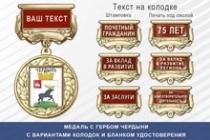 Медаль с гербом города Чердыни Пермского края с бланком удостоверения