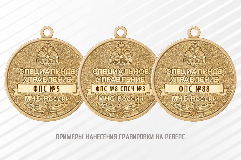 Медаль «Ветеран специальных подразделений ФПС МЧС России» с бланком удостоверения, дополнительное фото 1