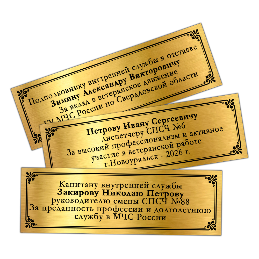 Наградное панно «Ветеран специальных подразделений ФПС МЧС России», дополнительное фото 1