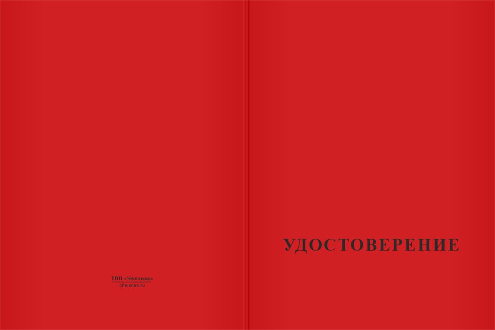 Бланк лицевая сторона Медаль с гравировкой «200 лет со дня рождения М.Е. Салтыкова-Щедрина» с бланком удостоверения