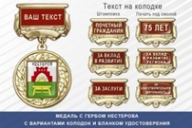 Медаль с гербом города Нестерова Калининградской области с бланком удостоверения