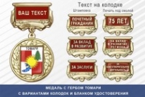 Медаль с гербом города Томари Сахалинской области с бланком удостоверения