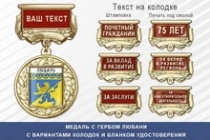 Медаль с гербом города ЛЮбани Ленинградской области с бланком удостоверения