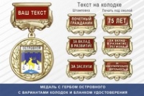Медаль с гербом города Островного Мурманской области с бланком удостоверения