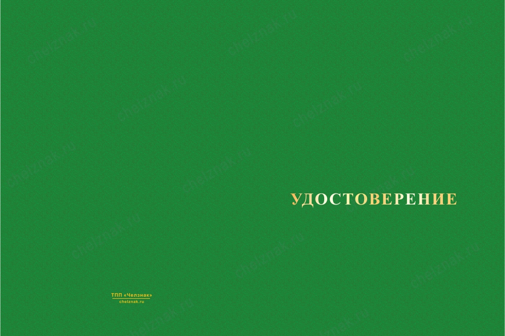 Лицевая сторона награды Знак «50 лет отдельному Арктическому пограничному отряду»  с бланком удостоверения