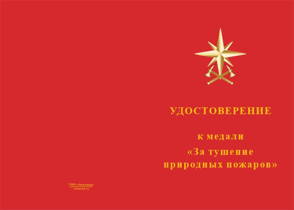 Лицевая сторона награды Медаль «За тушение природных пожаров» с бланком удостоверения