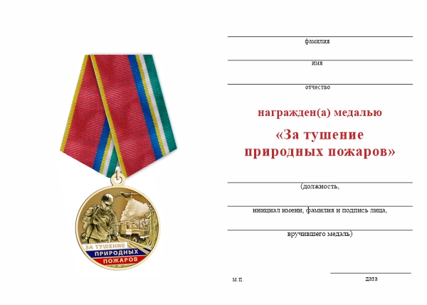 Обратная сторона награды Медаль «За тушение природных пожаров» с бланком удостоверения