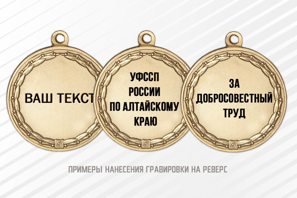 Медаль ФССП «Сила закона в его исполнении» с бланком удостоверения, дополнительное фото 1