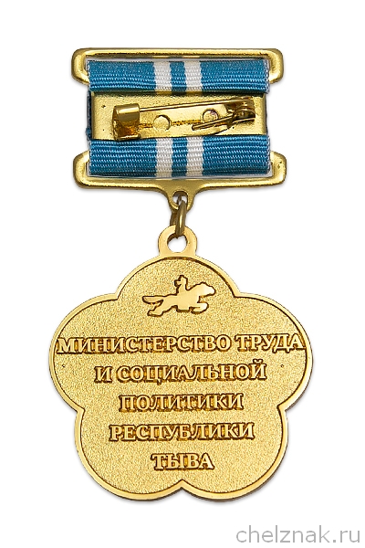 Реверс награды Знак «Отличник социальной защиты Республики Тыва» с бланком удостоверения