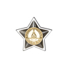 Фрачный значок «Орден Славы II ст.»