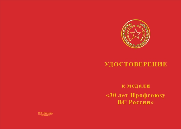 Лицевая сторона награды Медаль «30 лет профсоюзу гражданского персонала ВС России»