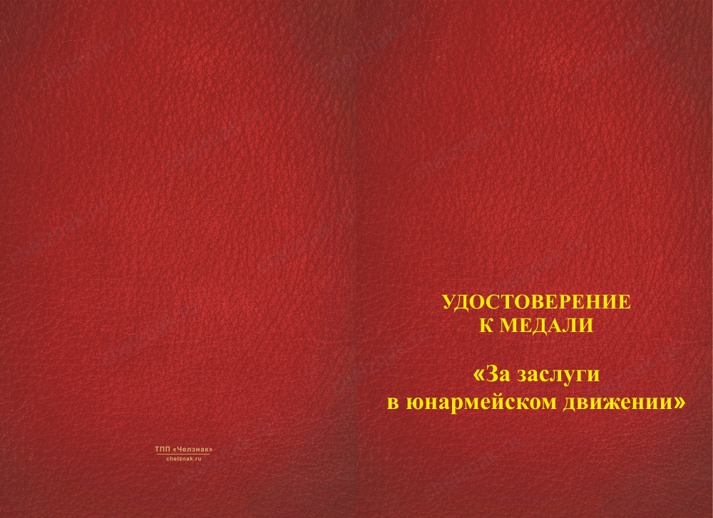 Лицевая сторона награды Медаль «За заслуги в юнармейском движении» с бланком удостоверения