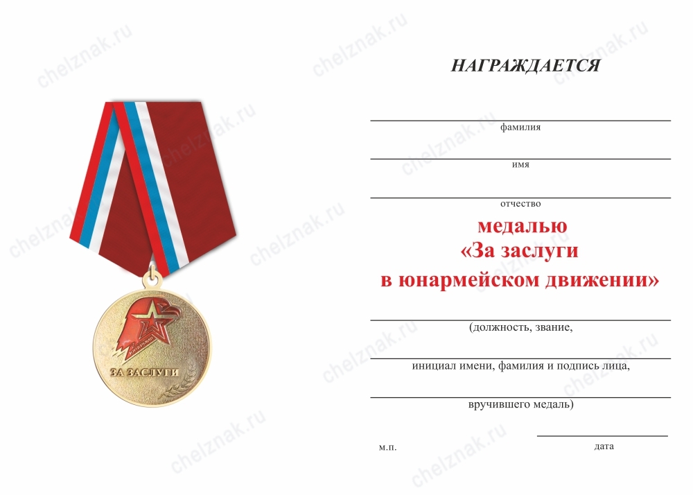 Обратная сторона награды Медаль «За заслуги в юнармейском движении» с бланком удостоверения