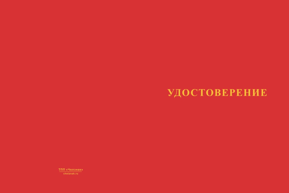 Бланк лицевая сторона Медаль «Отцу (родственнику) участника СВО» с бланком удостоверения