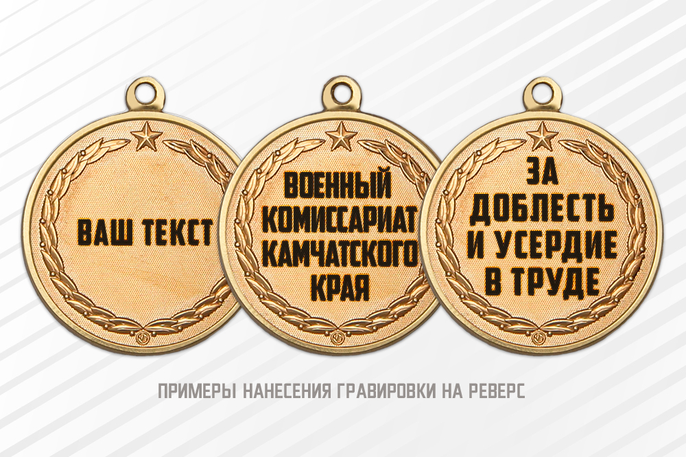 Медаль «За работу в военных комиссариатах МО РФ» с бланком удостоверения, дополнительное фото 1