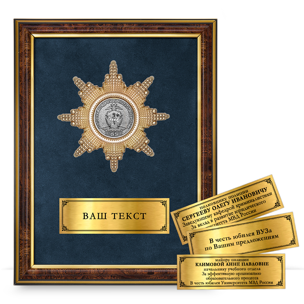 Наградное панно «65 лет Ростовскому юридическому институту МВД России»