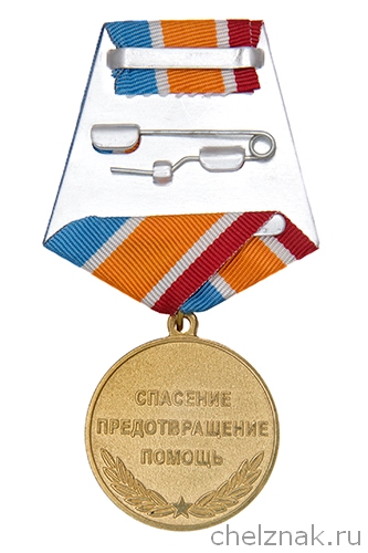 Реверс награды Медаль «Ветеран МЧС России» с бланком удостоверения