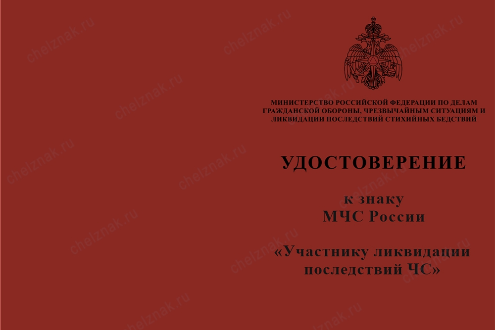 Лицевая сторона награды Знак «Участнику ликвидации последствий ЧС» с бланком удостоверения