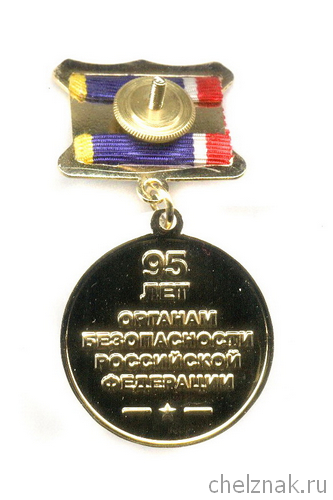 Реверс награды Медаль «95 лет ФСБ. Ветеран органов безопасности» с бланком удостоверения