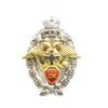Знак «Лучший инспектор ППС МВД РФ»
