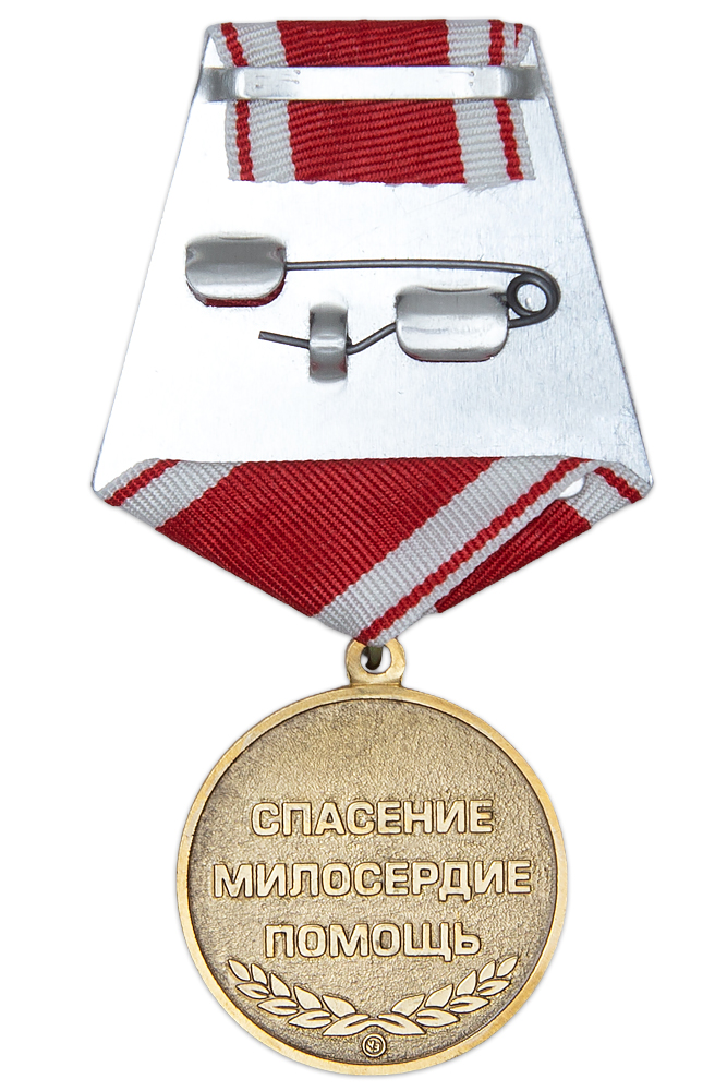 Реверс награды Медаль «За многолетний труд в здравоохранении» с бланком удостоверения