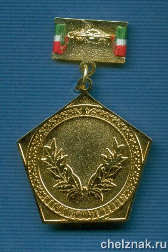 Реверс награды Знак «Почетный гражданин г. Набережные Челны»