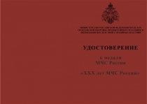 Купить бланк удостоверения Медаль МЧС России «30 лет МЧС России» с бланком удостоверения