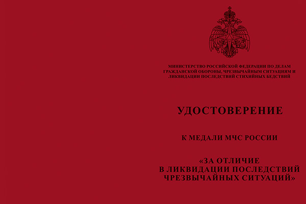 Лицевая сторона награды Медаль «За отличие в ликвидации последствий ЧС» с бланком удостоверения