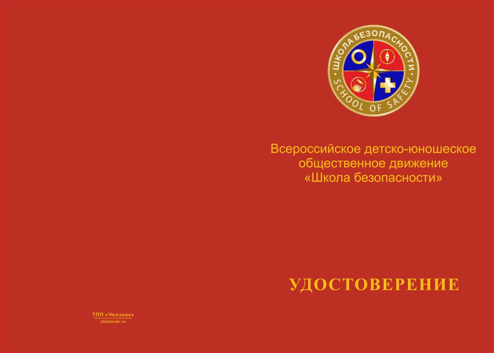 Лицевая сторона награды Медаль «За пропаганду культуры безопасности»