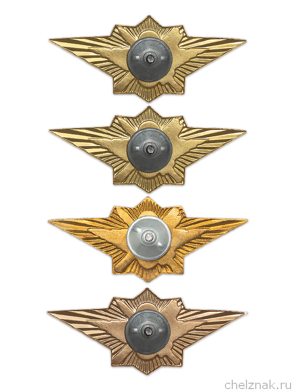 Реверс награды Знак классности ФСИН