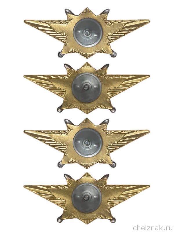 Реверс награды Знак классности Росгвардии