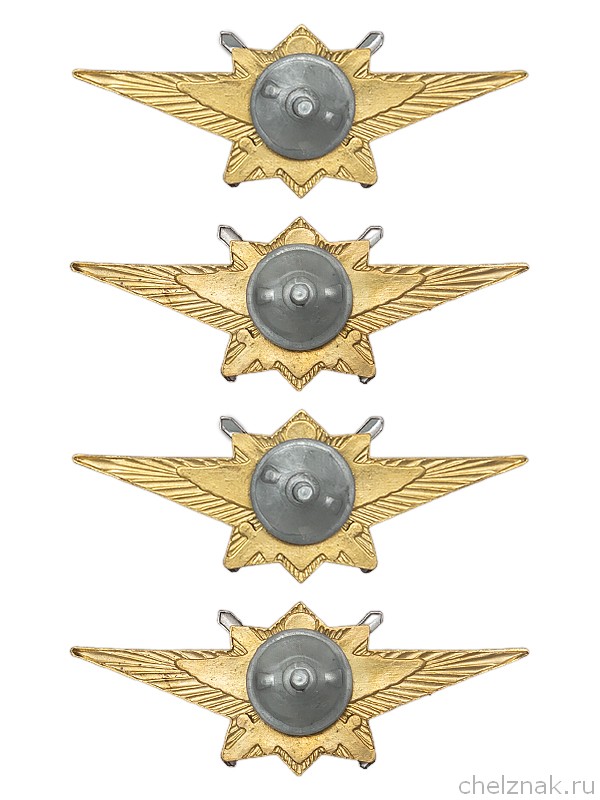 Реверс награды Знак классности ВС РФ, офицерский состав, нового образца