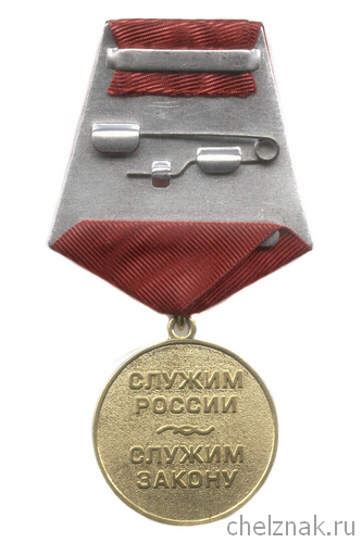 Реверс награды Медаль «20 лет СК РК ВВ МВД России»
