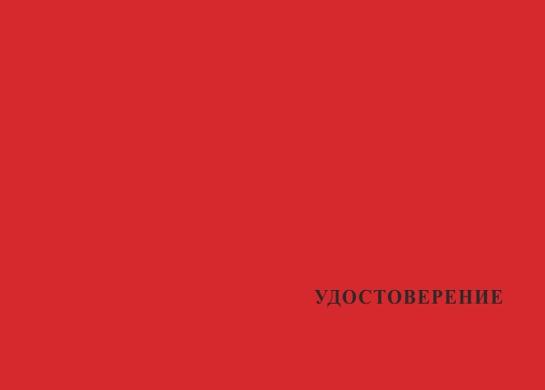 Лицевая сторона награды Типовой бланк удостоверения