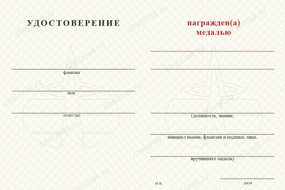 Обратная сторона награды Медаль Космических войск (с текстом заказчика), с бланком удостоверения