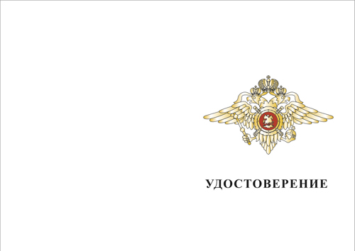 Лицевая сторона награды Нагрудный знак МВД России «За отличную службу в МВД» I степени с бланком удостоверения