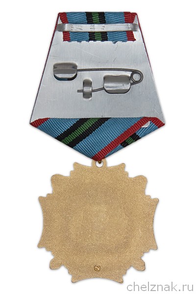 Реверс награды Знак на колодке «Участник Афганской войны» (крест) с бланком удостоверения