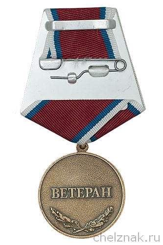 Реверс награды Медаль «20 лет боевым действиям на Северном Кавказе» с бланком удостоверения