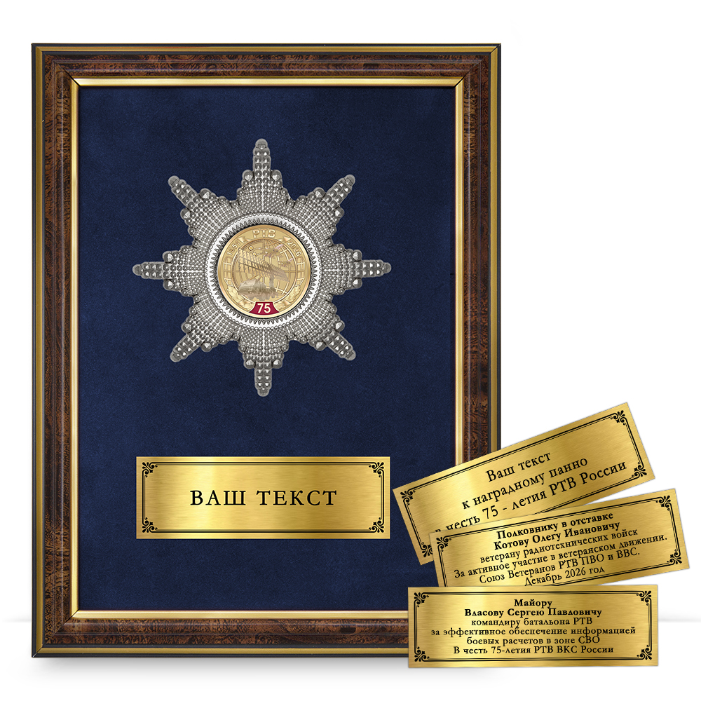 Лицевая сторона награды Панно наградное «За службу в РТВ ВКС России»