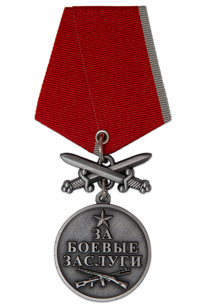 Медаль с мечами «Барс - 11. За боевые заслуги»