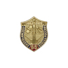 Фрачный значок «65 лет космическим войскам» (пуссета)