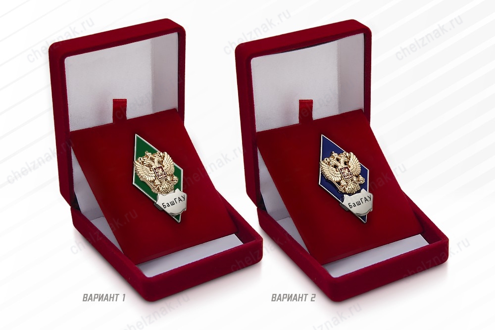 Нагрудный знак (ромб) «Об окончании Башкирского государственного аграрного университета», дополнительное фото 0