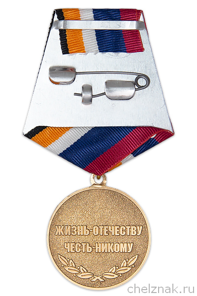 Реверс награды Медаль «Кадетское образование» с бланком удостоверения