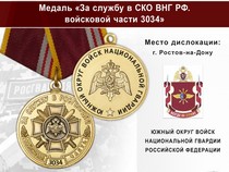 Медаль «За службу в ЮО ВНГ РФ. Войсковая часть 3034» с бланком удостоверения