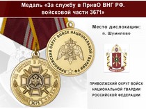 Медаль «За службу в ПривО ВНГ РФ. Войсковая часть 3671» с бланком удостоверения