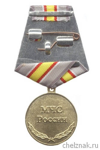 Реверс награды Медаль «365 лет Пожарной охране России» с бланком удостоверения