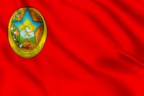 Флаг Таджикской ССР в 1929—1931 годах
