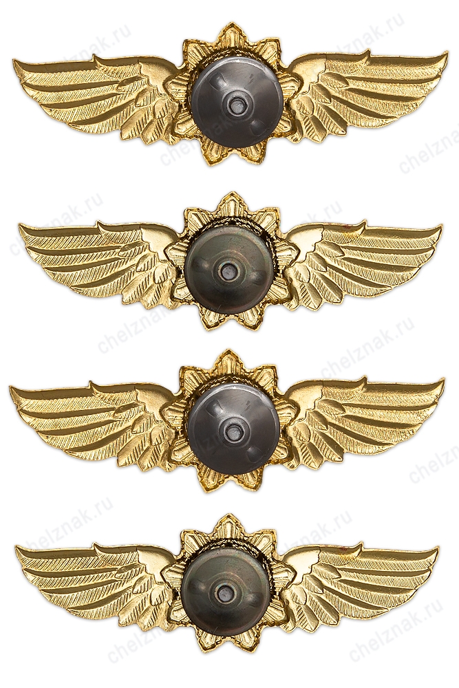 Реверс награды Знак классности ФСО